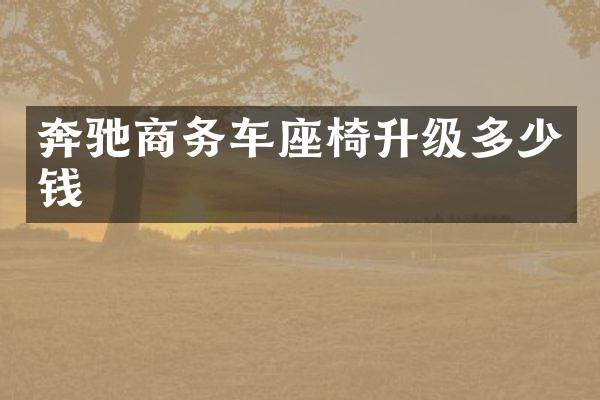 奔驰商务车座椅升级多少钱
