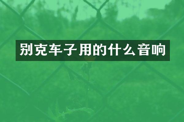 别克车子用的什么音响