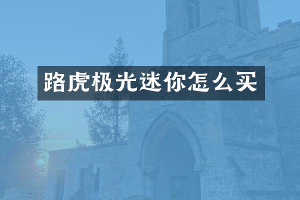 路虎极光迷你怎么买