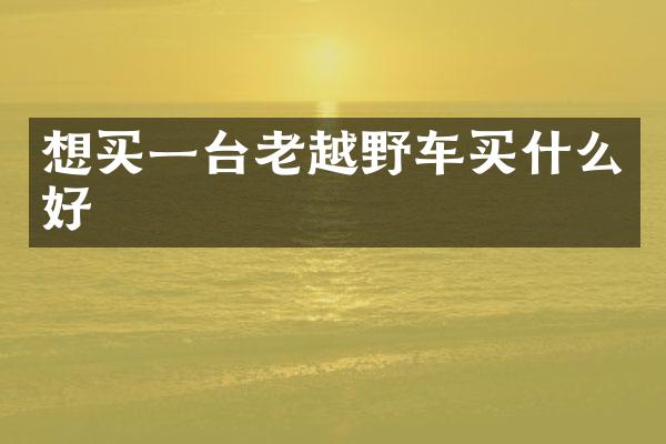 想买一台老越野车好
