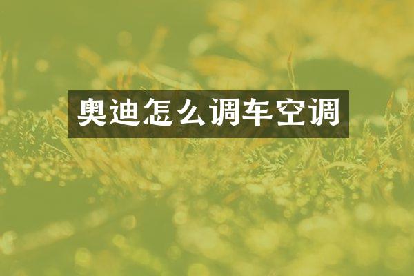奥迪怎么调车空调