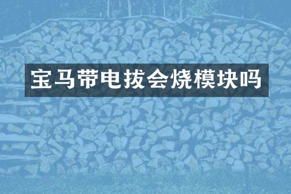 宝马带电拔会烧模块吗