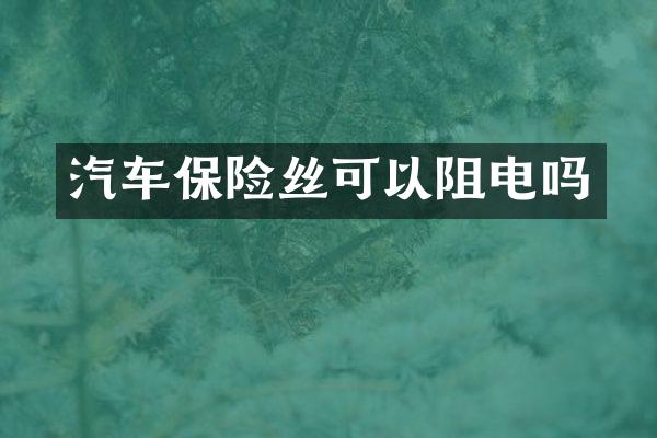 汽车保险丝可以阻电吗