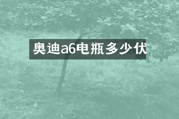 奥迪a6电瓶多少伏