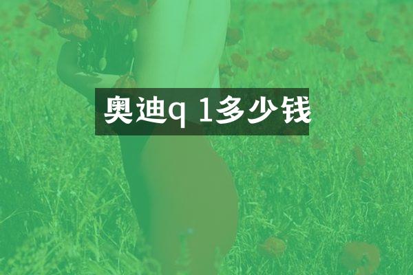 奥迪q 1多少钱