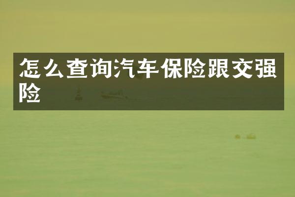 怎么查询汽车保险跟交强险