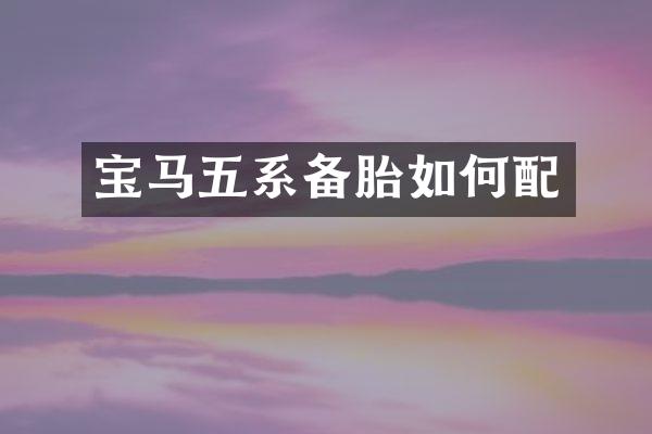 宝马五系备胎如何配