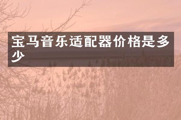 宝马音乐适配器价格是多少