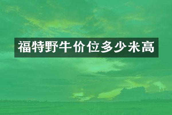 福特野牛价位多少米高