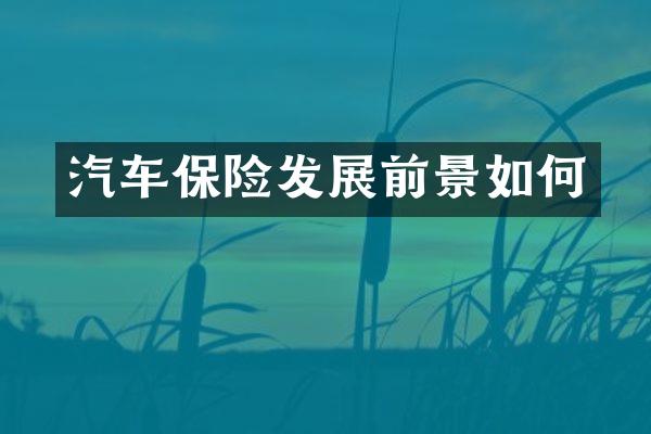 汽车保险发展前景如何