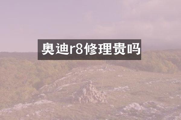 奥迪r8修理贵吗