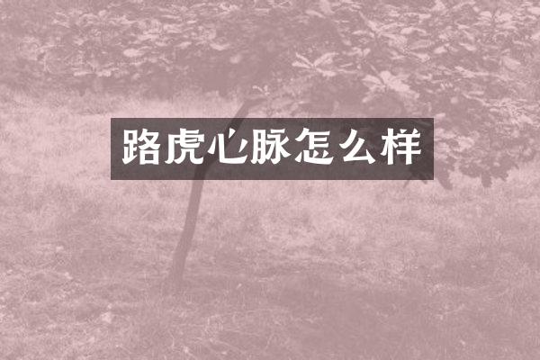 路虎心脉怎么样