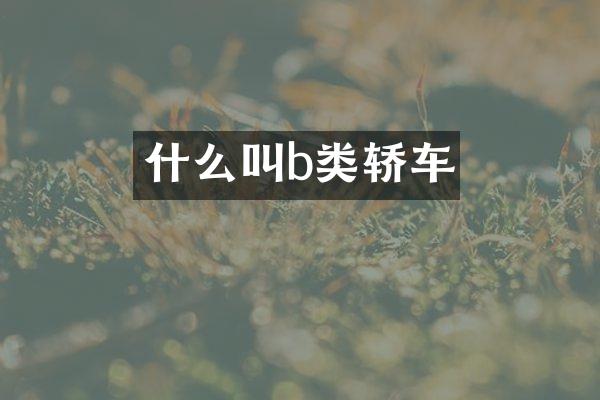 什么叫b类轿车