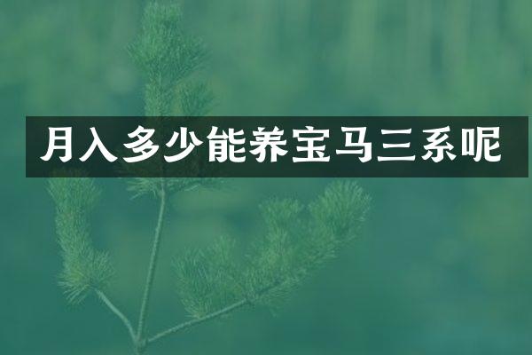 月入多少能养宝马三系呢
