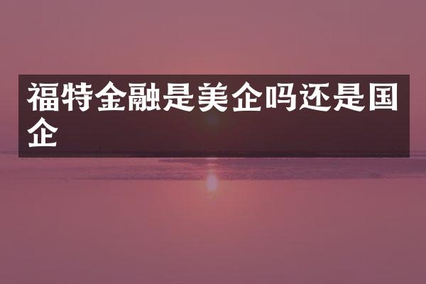 福特金融是美企吗还是国企