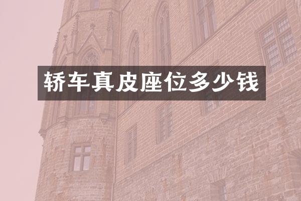 轿车真皮座位多少钱