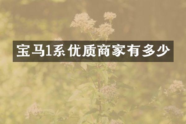 宝马1系优质商家有多少