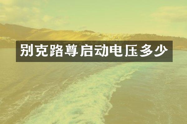 别克路尊启动电压多少