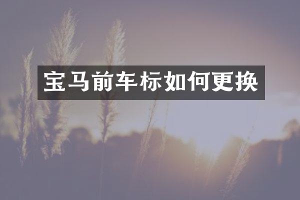 宝马前车标如何更换