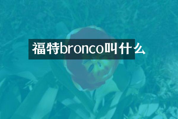 福特bronco叫什么