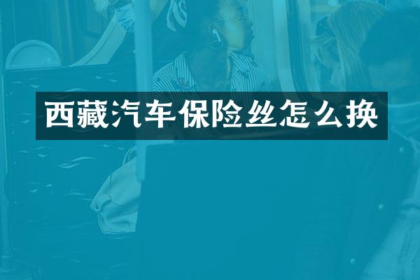 西藏汽车保险丝怎么换