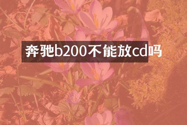 奔驰b200不能放cd吗