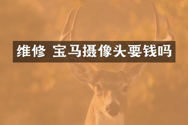 维修 宝马摄像头要钱吗