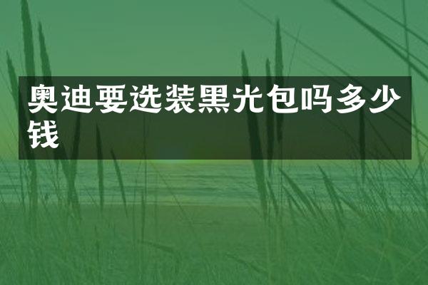 奥迪要选装黑光包吗多少钱