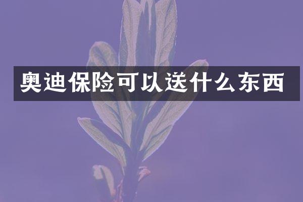 奥迪保险可以送什么东西