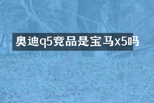 奥迪q5竞品是宝马x5吗