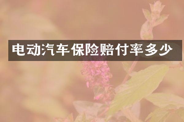 电动汽车保险赔付率多少