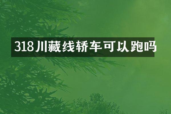 318川藏线轿车可以跑吗