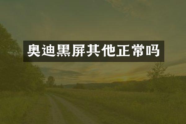 奥迪黑屏其他正常吗