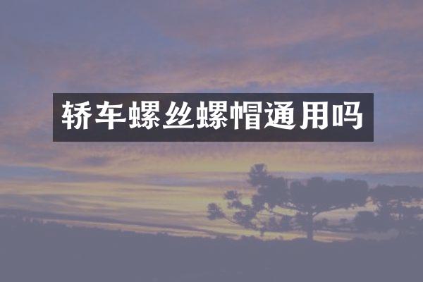 轿车螺丝螺帽通用吗