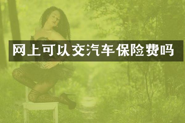 网上可以交汽车保险费吗