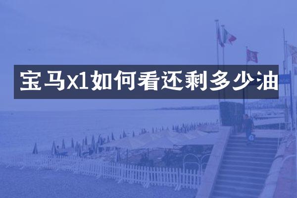 宝马x1如何看还剩多少油