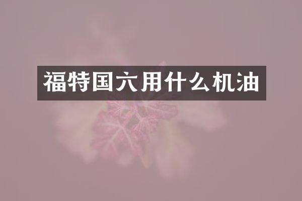 福特国六用什么机油