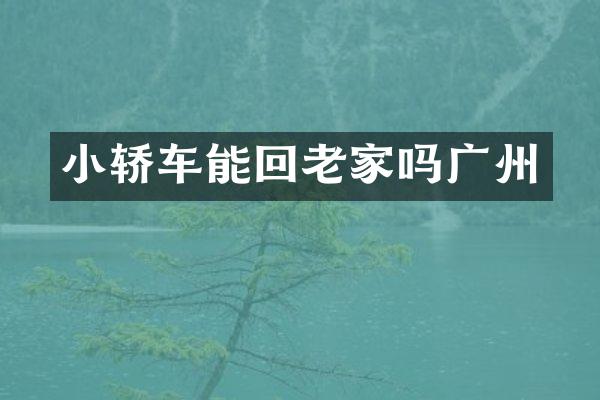 小轿车能回老家吗广州