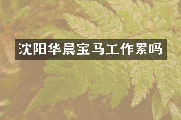 沈阳华晨宝马工作累吗