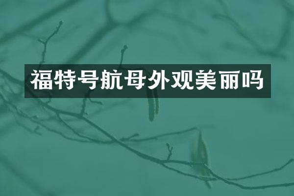 福特号航母外观美丽吗