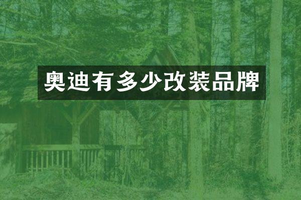奥迪有多少改装品牌