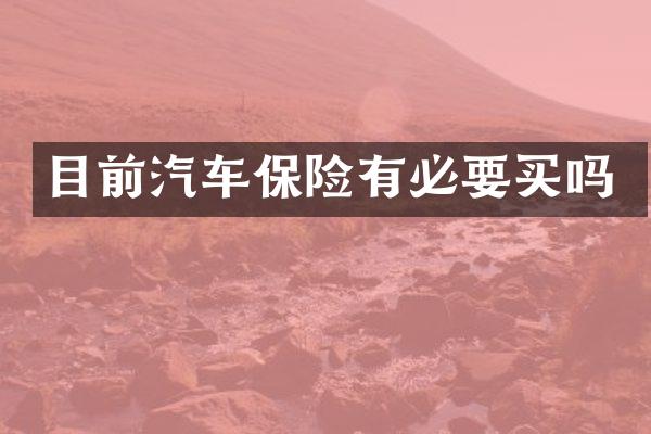 目前汽车保险有必要买吗