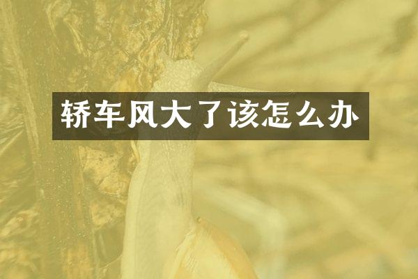 轿车风大了该怎么办