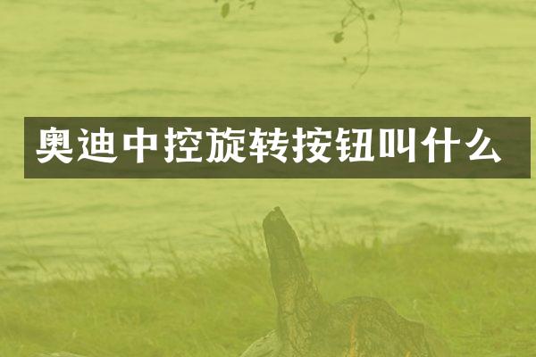 奥迪中控旋转按钮叫什么