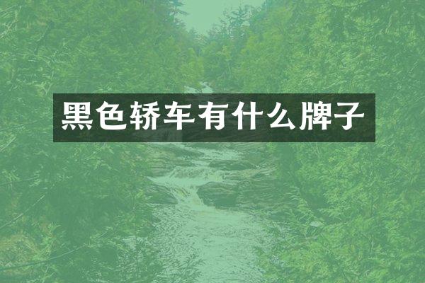 黑色轿车有什么牌子