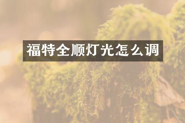 福特全顺灯光怎么调
