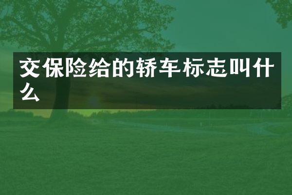 交保险给的轿车标志叫什么