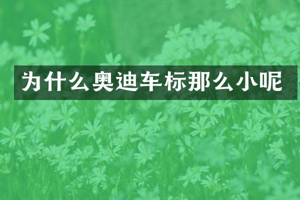 为什么奥迪车标那么小呢