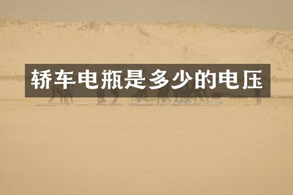 轿车电瓶是多少的电压