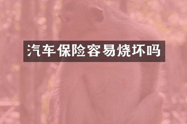 汽车保险容易烧坏吗